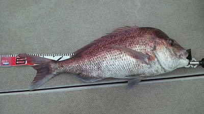 2011100406430000
